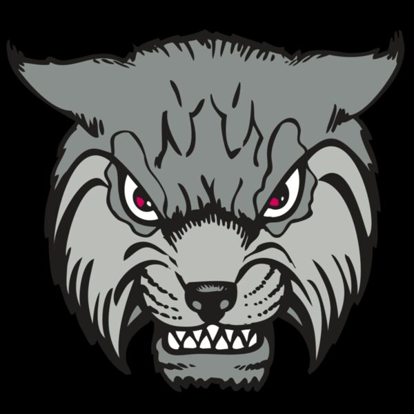 BAW BOBCAT 02 RC Thumbnail