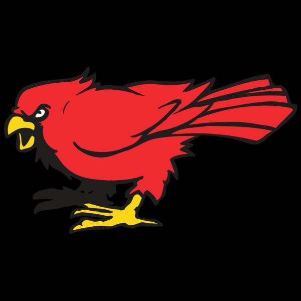 AR CARDINAL 11 RC Thumbnail