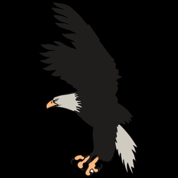 AR EAGLE 91 RC Thumbnail