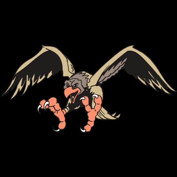 AR EAGLE 15 RC Thumbnail