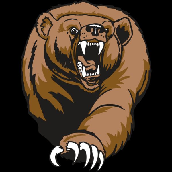 AR BEAR 74 RC Thumbnail