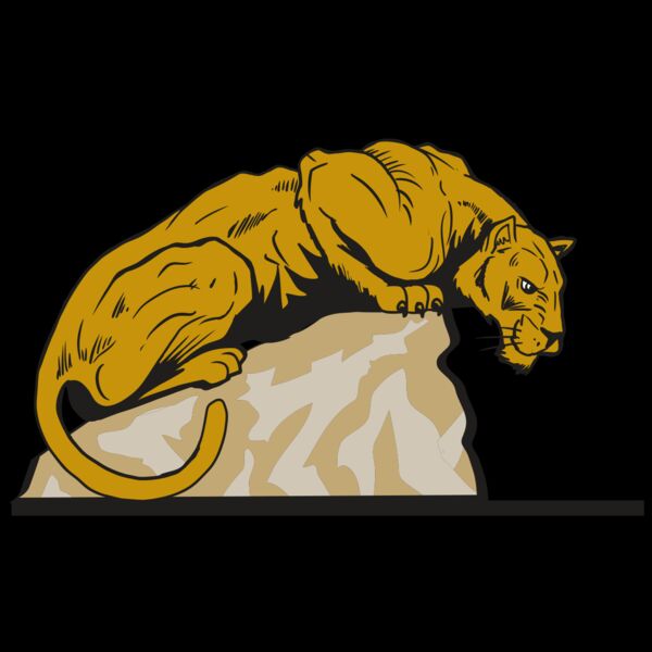 AR10 PANTHER 01 RQC Thumbnail