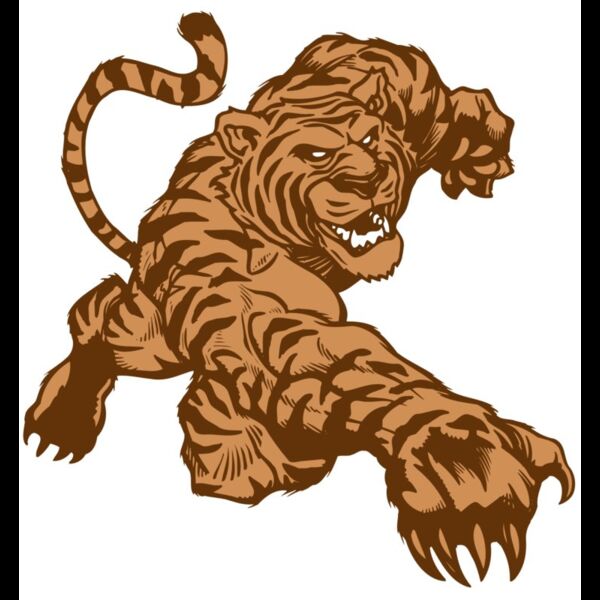 AR TIGER 56 RC Thumbnail