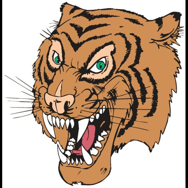 AR TIGER 49 RC Thumbnail