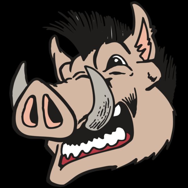 AR RAZORBACK 18 RC Thumbnail