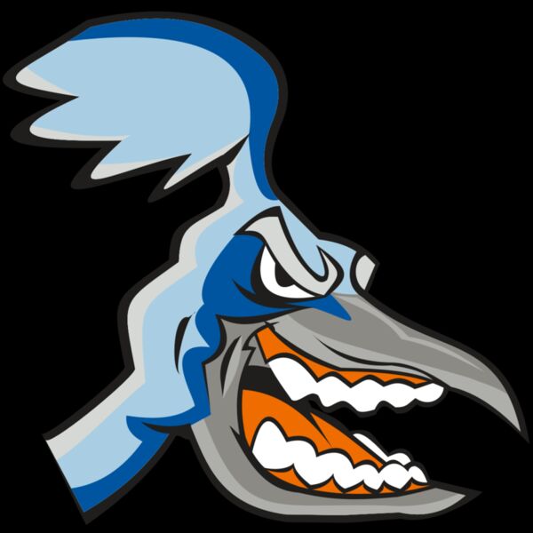 ROADRUNNER HD0504 RQC Thumbnail