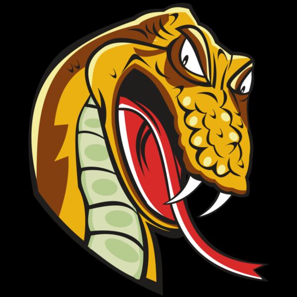 SNAKE HD0502 RQC Thumbnail