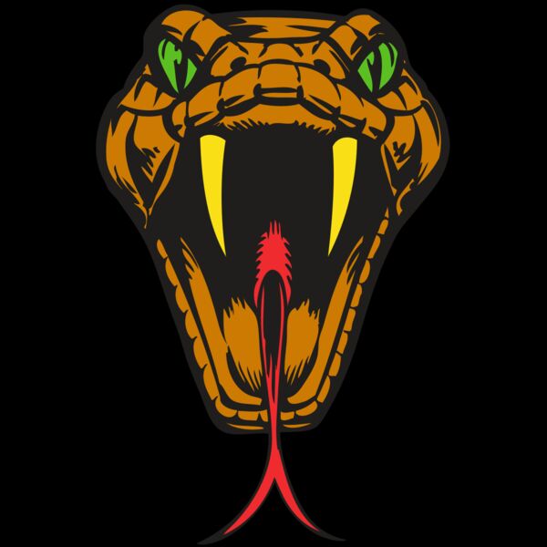 BAW SNAKE 05 RC Thumbnail