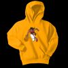 Youth Core Fleece Pullover Hooded Sweatshirt Thumbnail