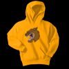 Youth Core Fleece Pullover Hooded Sweatshirt Thumbnail