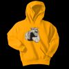 Youth Core Fleece Pullover Hooded Sweatshirt Thumbnail