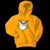 Youth Core Fleece Pullover Hooded Sweatshirt Thumbnail