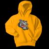 Youth Core Fleece Pullover Hooded Sweatshirt Thumbnail