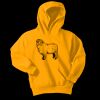 Youth Core Fleece Pullover Hooded Sweatshirt Thumbnail
