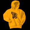 Youth Core Fleece Pullover Hooded Sweatshirt Thumbnail
