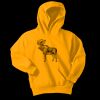 Youth Core Fleece Pullover Hooded Sweatshirt Thumbnail
