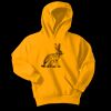 Youth Core Fleece Pullover Hooded Sweatshirt Thumbnail
