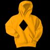 Youth Core Fleece Pullover Hooded Sweatshirt Thumbnail