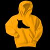 Youth Core Fleece Pullover Hooded Sweatshirt Thumbnail
