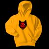 Youth Core Fleece Pullover Hooded Sweatshirt Thumbnail